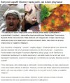 Niemcy koniec z wieprzowiną bo Allah zabronił.