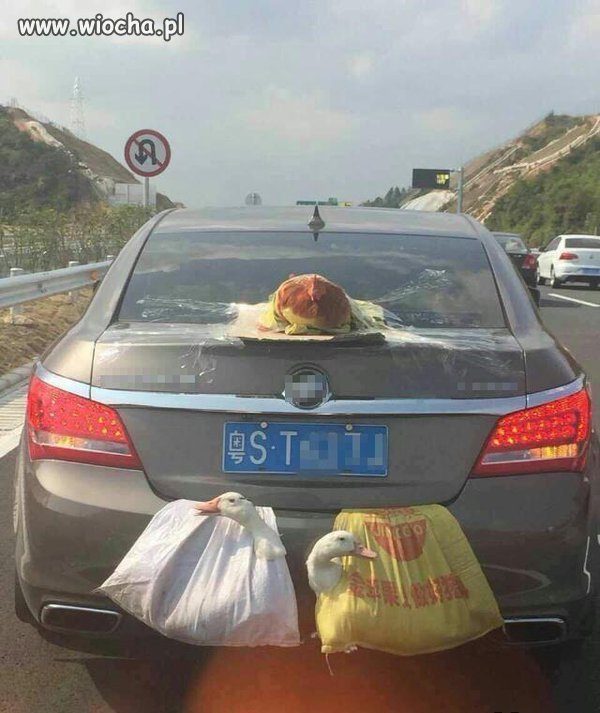 Janusze logistyki