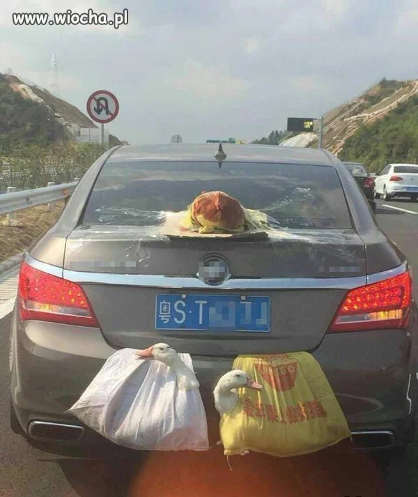 Janusze logistyki