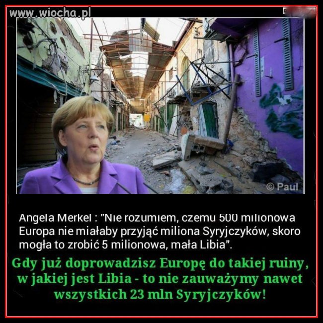 Makrela i jej tok rozumowania