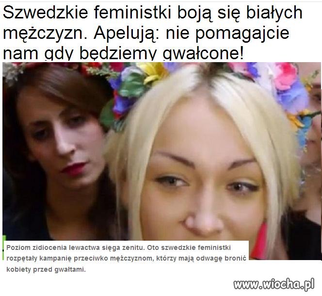 Szwedzkie femisnistki apelują do białasów.