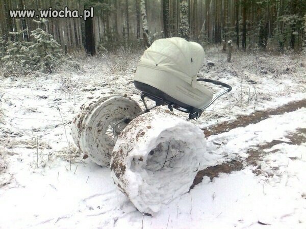 Koniec spacerku, pora wracać do domu