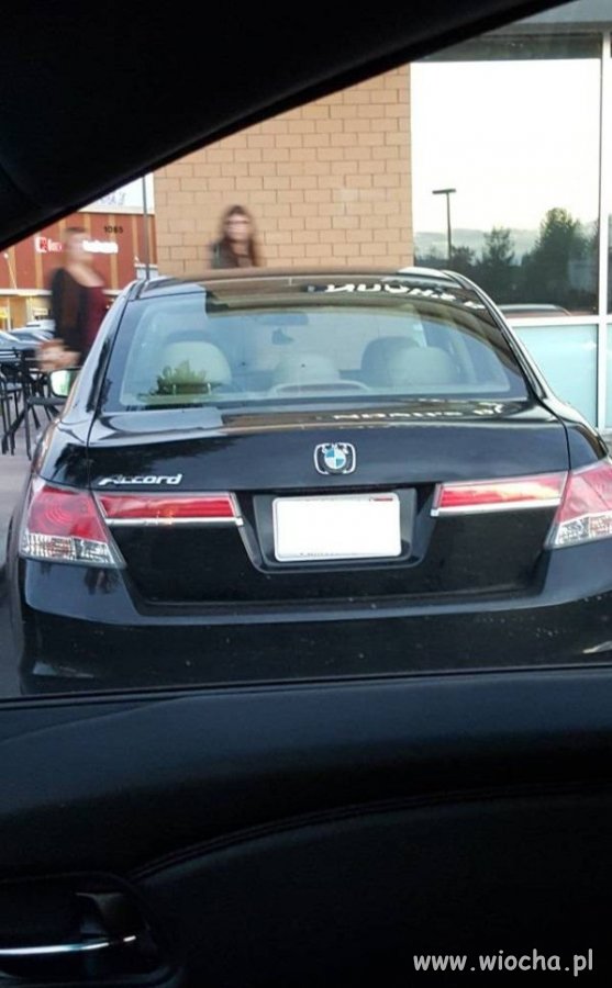 BMW Accord