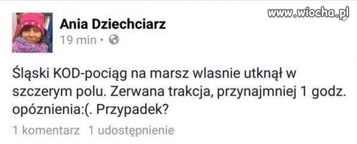 Jaki przypadek?