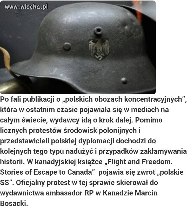 Polskie SS, co jeszcze? Hitler też był