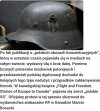 Polskie SS, co jeszcze? Hitler też był