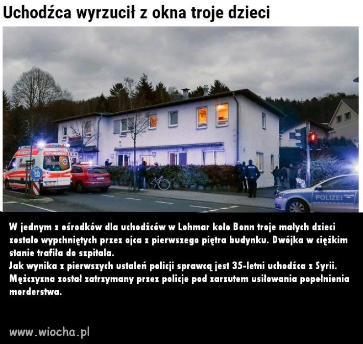 Jeszcze ludzie, czy zwierzęta? ...