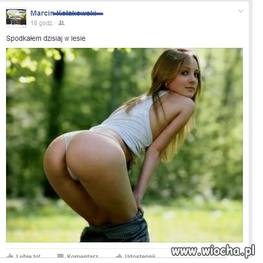 ,,Spodkał' w lesie 