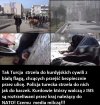 Turcja, ataki na kurdyjskich cywili.