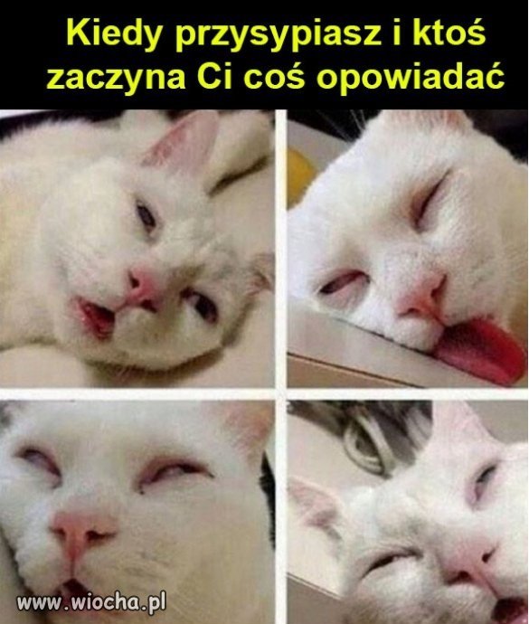 Bywają  tacy nudziarze...