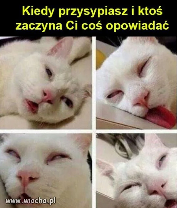 Bywają  tacy nudziarze...