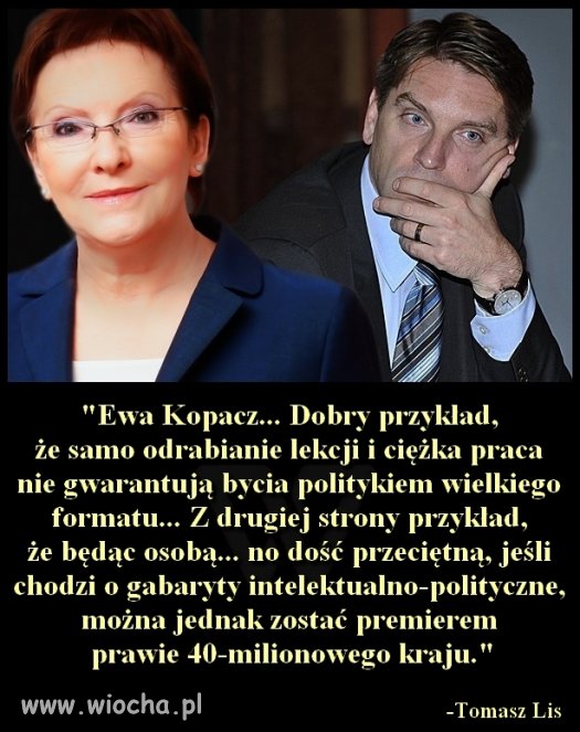 Lis o Kopaczce 