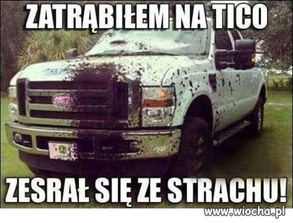 Nie trąb na mniejszego 