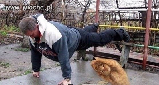 Nic tak nie brata jak..