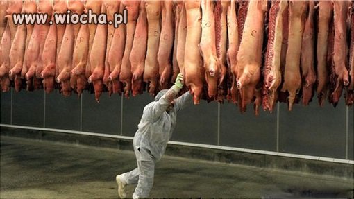 Polska gościnność.