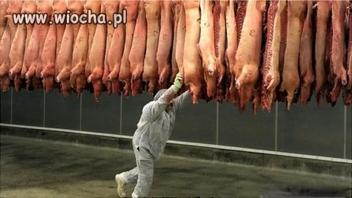 Polska gościnność.