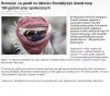 Brutalnie zgwałcił i pobił 12 latkę.