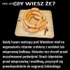 Tajemnica wiedeńskiej wiktorii rozwiązana!