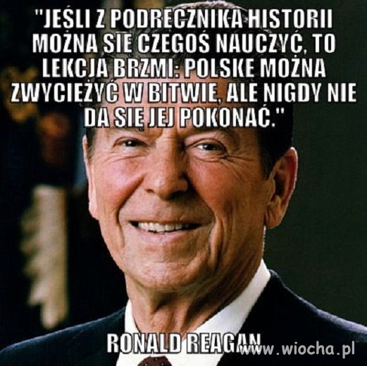 I dlatego Merkel,imigrantów itp.bzdety mam w ...