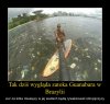 Żeglarze będą rywalizować w ściekach ...