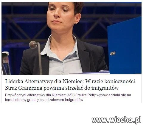 Głos rozsądku z Niemiec.