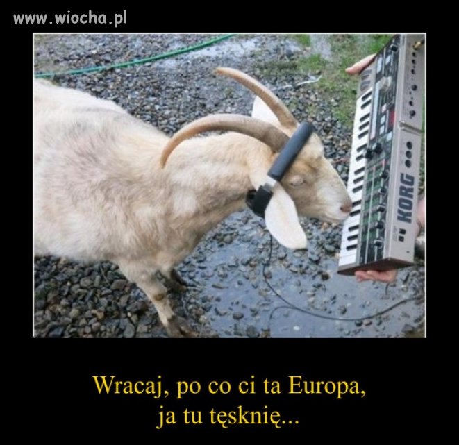Wracaj mężu
