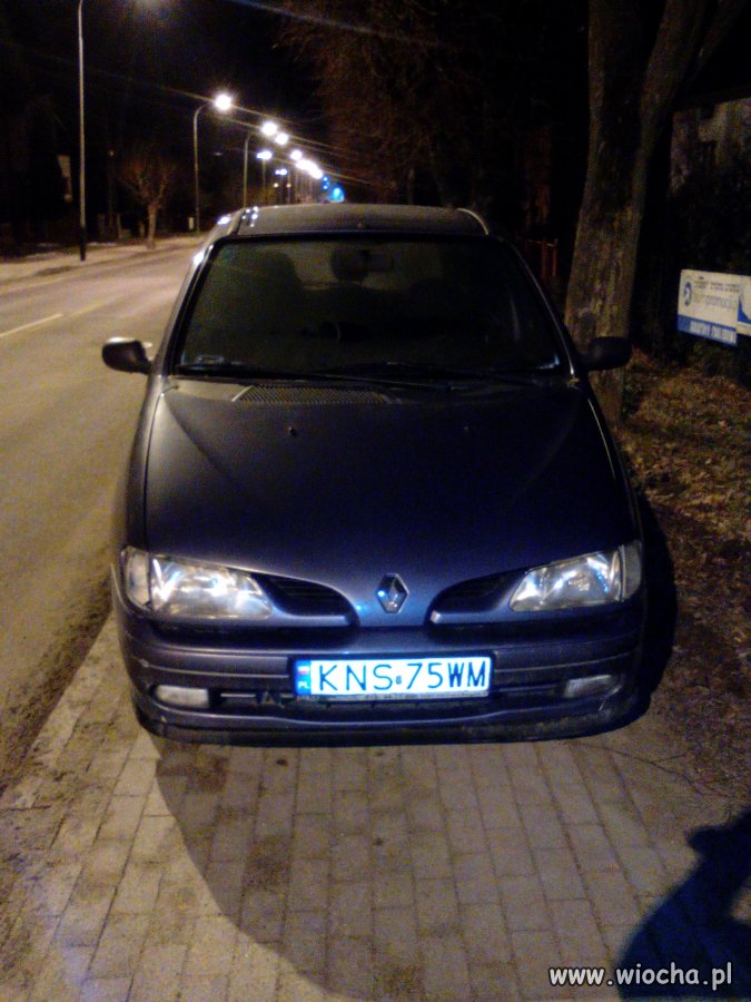 Mistrz parkowania