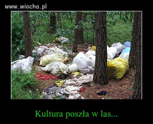 Kultura...