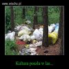 Kultura...