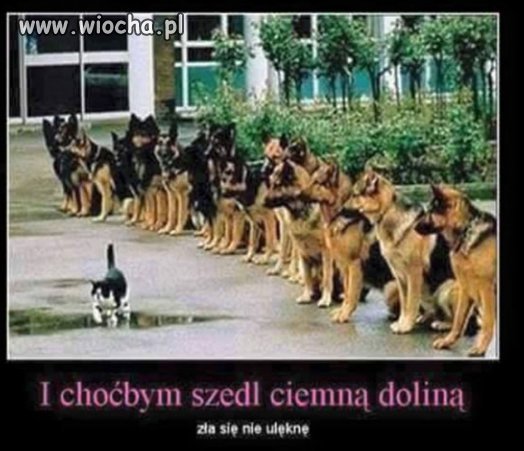 I choćby szedł