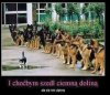 I choćby szedł