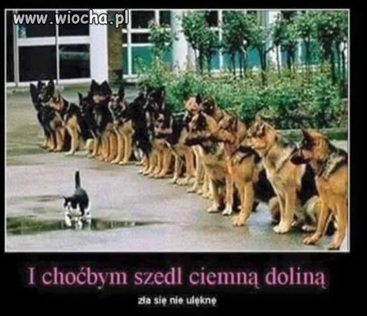 I choćby szedł