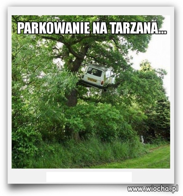 Parkowanie na Tarzana.
