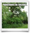 Parkowanie na Tarzana.