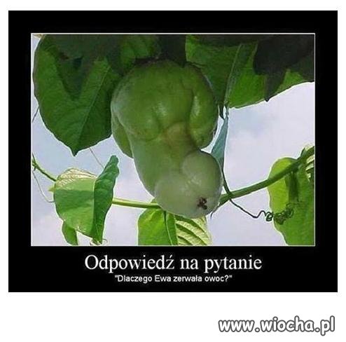 Odpowiedź na pytanie.
