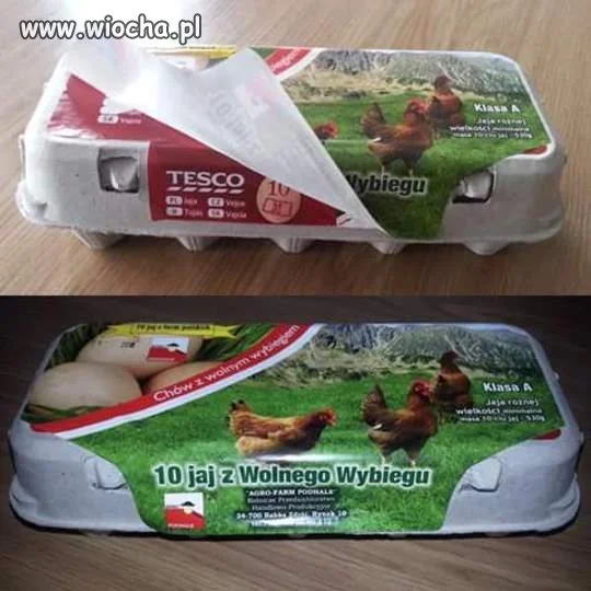 Jasio obrał jaka. 
