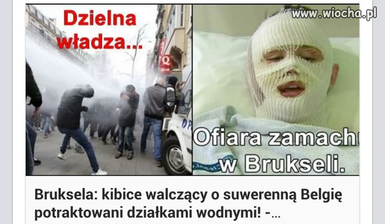 Naziści faszyści islamofoby