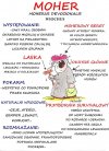 Tak to widzę