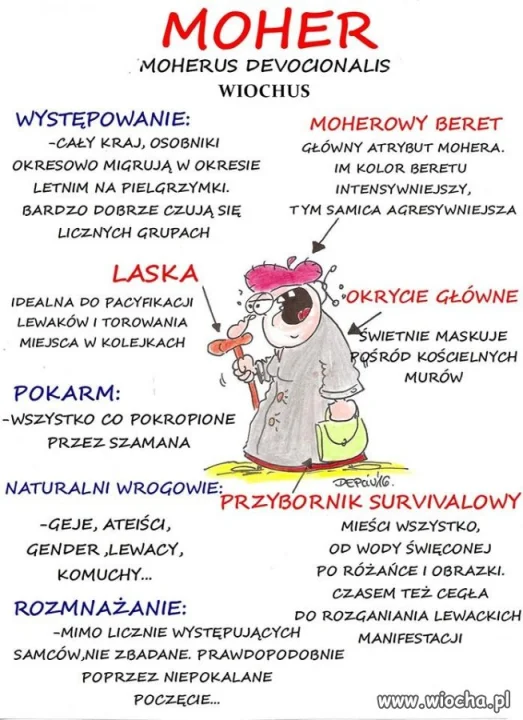 Tak to widzę