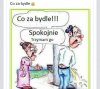 Co za bydle !