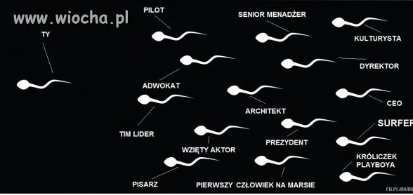 Wyścig z czasem