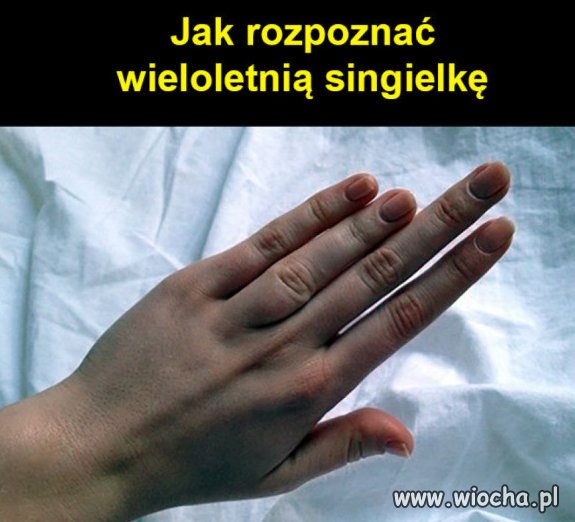 Singielka.