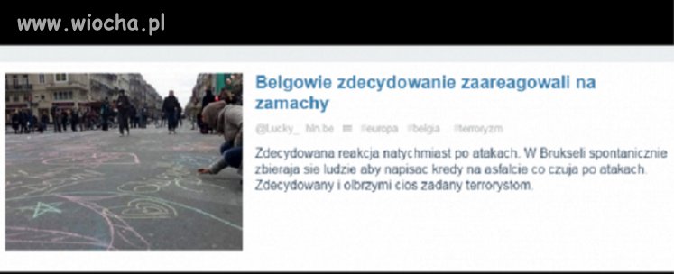 Brutalna i bezwzględna odpowiedź Belgów...