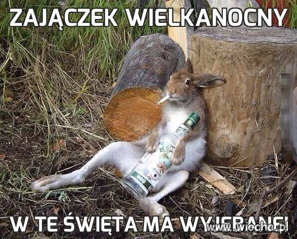 Nadchodzą święta