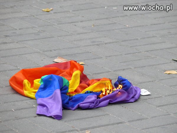 Ukraina przygotowuje się do legalizacji homo małżeństw 