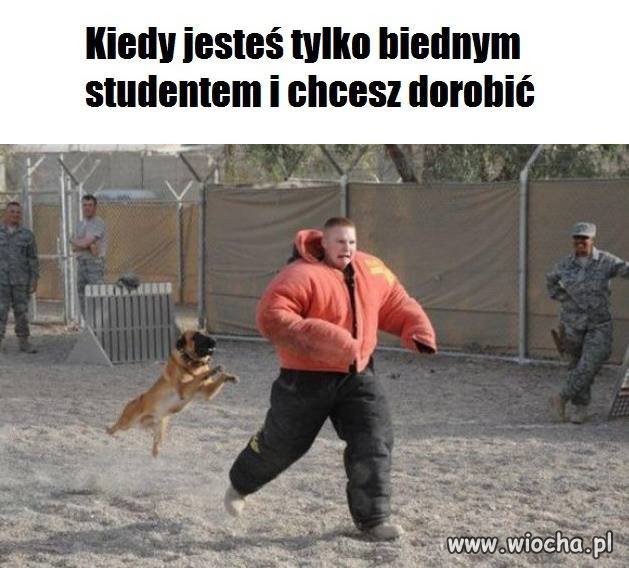 Biedny 