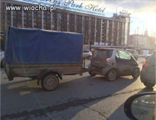 Mały ale byk