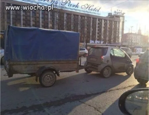Mały ale byk