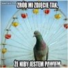 Niby paw