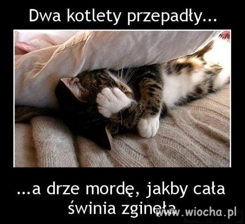 Opis zjadł
